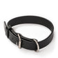 Agitation Leather Dog Collar