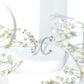 Round Shaped Diamond Hoop Earrings