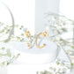 Certified Moissanite Hoop Earrings