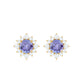 1 Carat Classic Tanzanite Stud Earrings with Diamond Halo