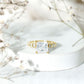 Princess Cut 3 Carat Moissanite Solitaire Engagement Ring with Side Stones