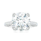 Round 4.4 Carat Moissanite Solitaire Engagement Ring with Side Stones