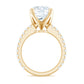 Round 4.4 Carat Moissanite Solitaire Engagement Ring with Side Stones