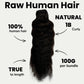 Raw Indian Curly 100% Human Hair Bundles