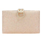 Shimmery Evening Clutch Crossbody Bag