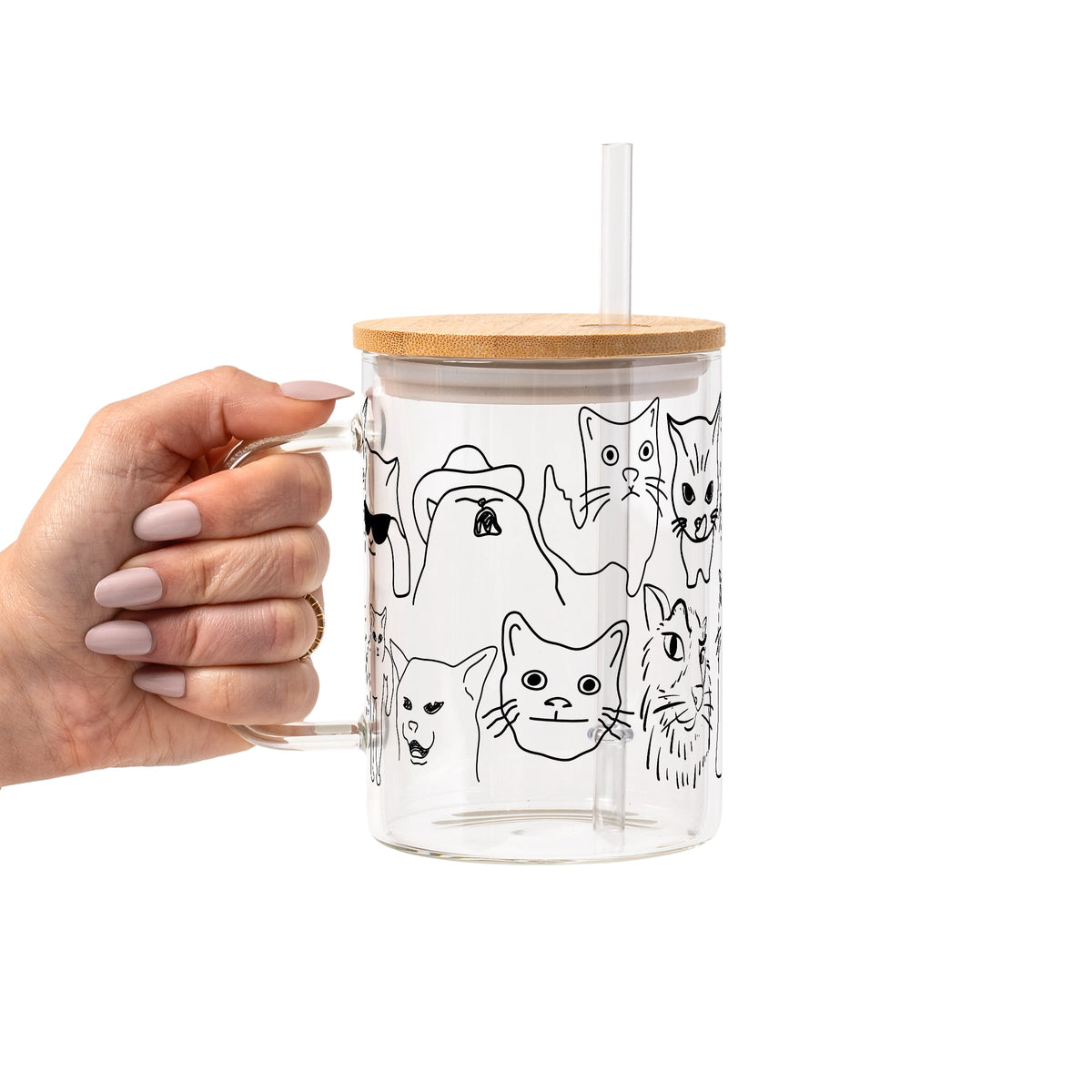 Iconic Meme Cats Glass Cups