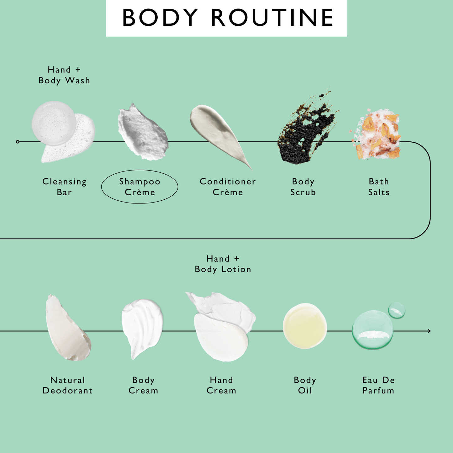 Shampoo en Crema con Extracto de Baya Rosa