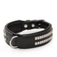 Leather Collar with Designer Studs