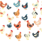 Chicken Mom Glass Cups