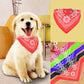 Collar de piel ajustable para mascotas con pañuelo