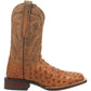 Dan Post Alamosa - Botas de vaquero de piel de avestruz para hombre