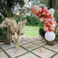 Blush Balloon Garland Kit