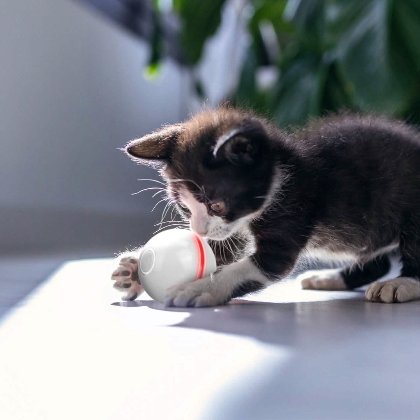 Pelota de Juguete Automática Interactiva Giratoria para Gatos
