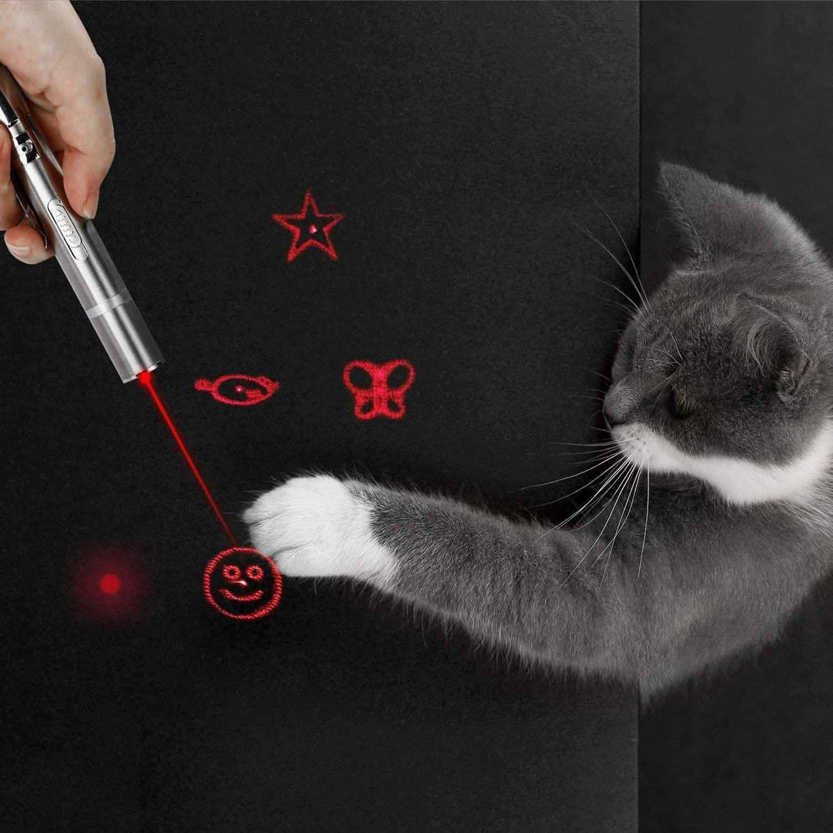Juguete Láser para Gatos de Interior y Exterior