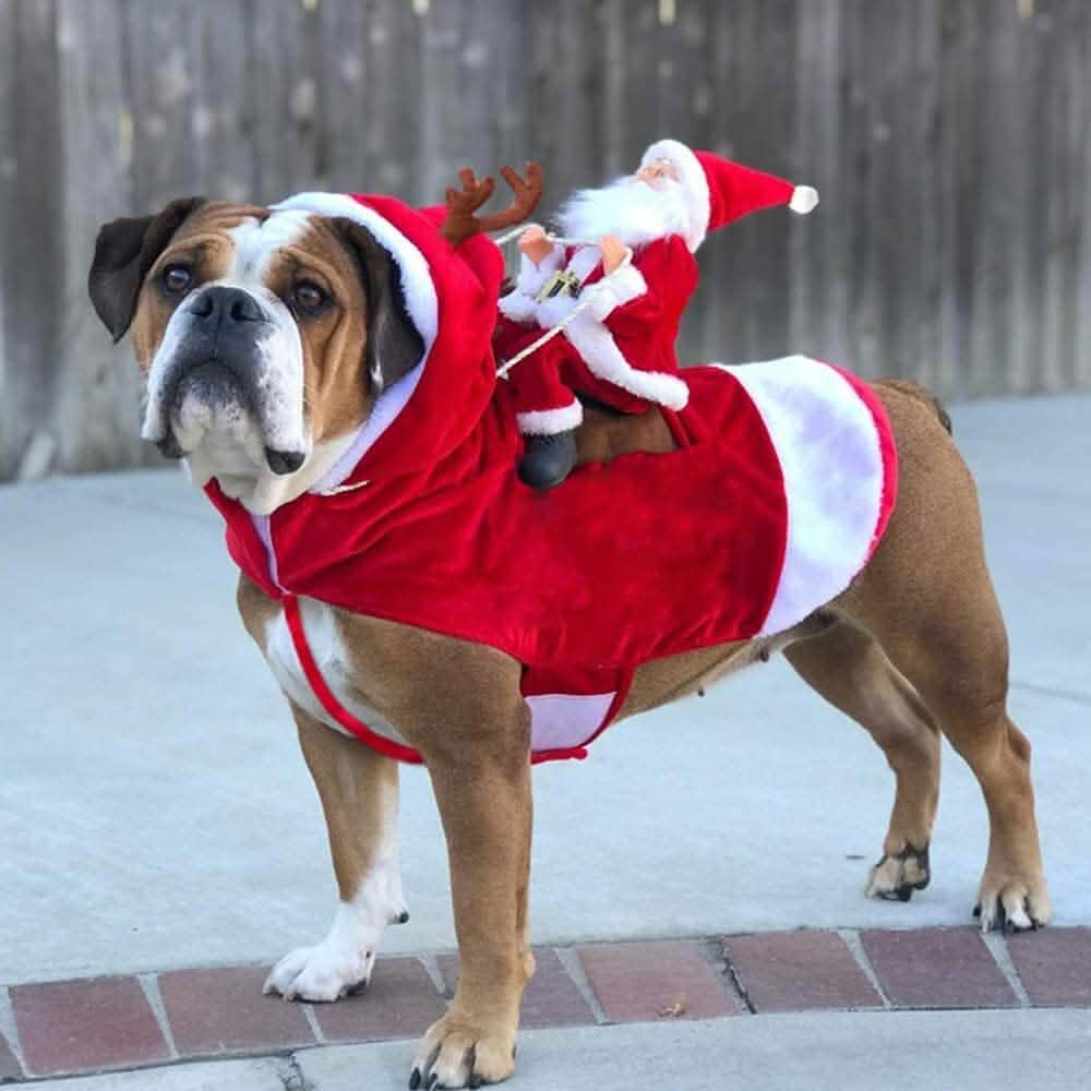 Disfraz de perro para Navidad Ropa para mascotas