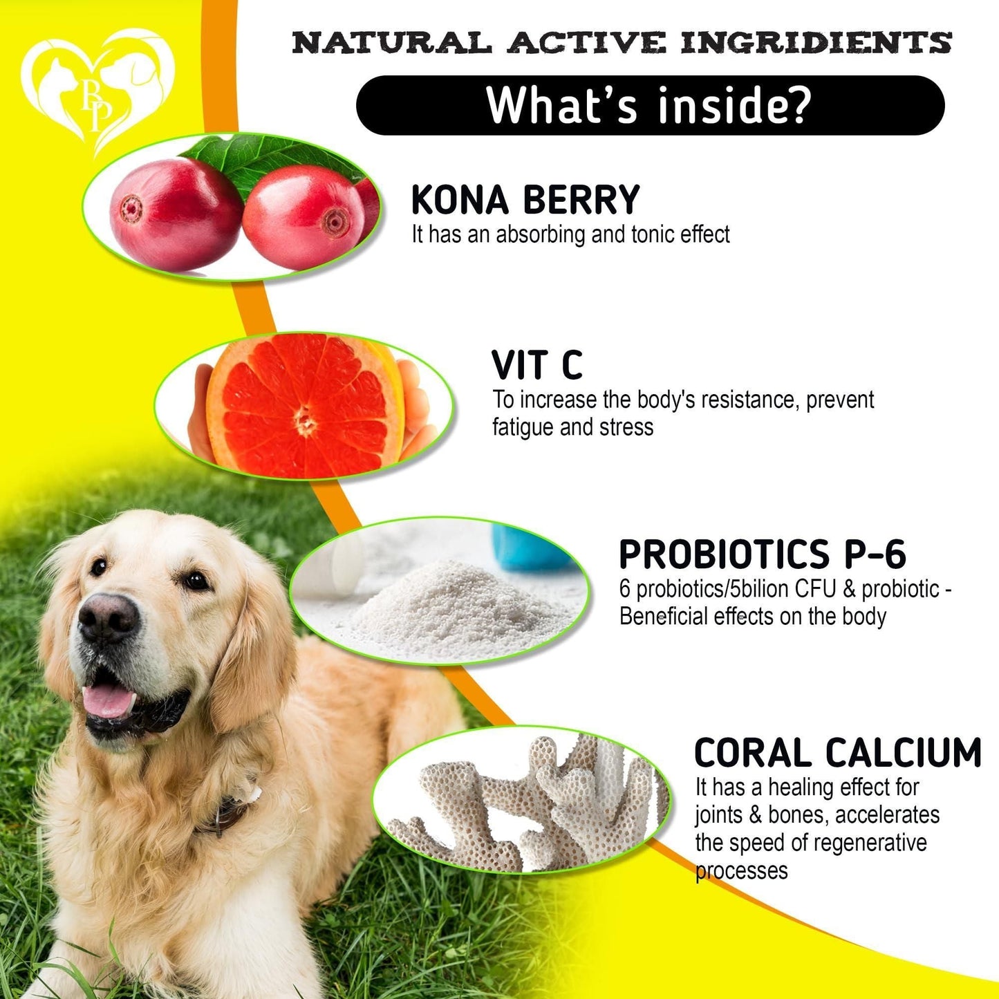 Masticables para perros, alivio de la alergia antipicazón, piel seca y con picazón, tratamiento de puntos calientes con probióticos, aceite omega 3, suplemento inmunológico, medicina para alergias estacionales para perros y cachorros, 140 unidades