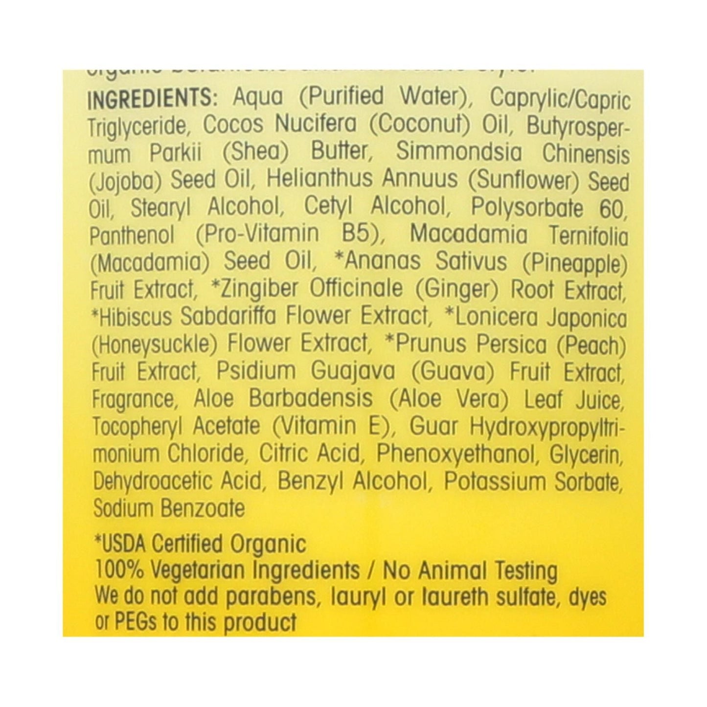 Acondicionador para el Cuidado del Cabello Giovanni - Piña y Jengibre - Caja de 1 - 8.5 oz.