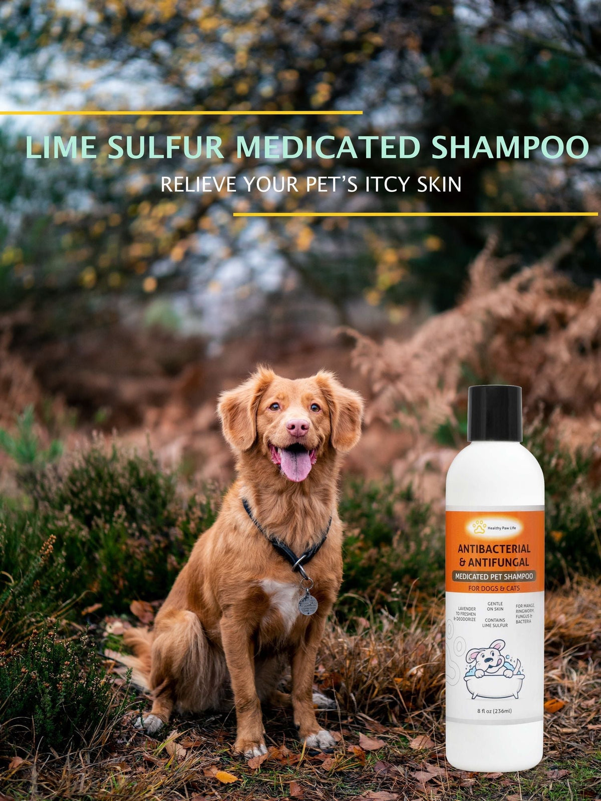 Champú de azufre de cal para mascotas - Solución veterinaria y para el cuidado de mascotas para la piel con picazón y seca - Seguro para perros; gatos; cachorros; gatitos; caballos