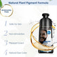 Champú Tinte para Barba para Hombres, Tinte Permanente Natural para Barba, Tiñe el Cabello en Minutos, Larga Duración, 200 ml, Cuidado Capilar Tinte Negro