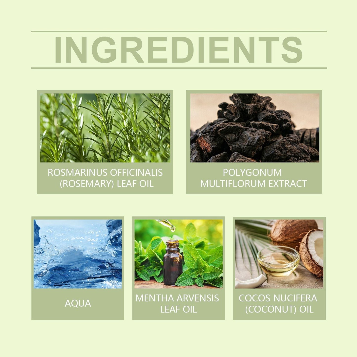 El aceite esencial capilar de romero de Hoegoa repara el cabello dañado, nutre el cuero cabelludo, fortalece el cabello y mejora las puntas abiertas