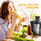 87043565 1100W household centrifugal juicer multi-function electric juicer 2.5L slag cup does not contain BPA fruit and vegetable juice, modern vertical mixing kitchen juicer, secondary mechanical