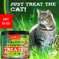 Flea and Tick Prevention Chewable Pills for Cats Revolution Oral Flea Treatment for Pets Pest Control & Natural Defense Chewables Small Tablets Salmon Fish Taste