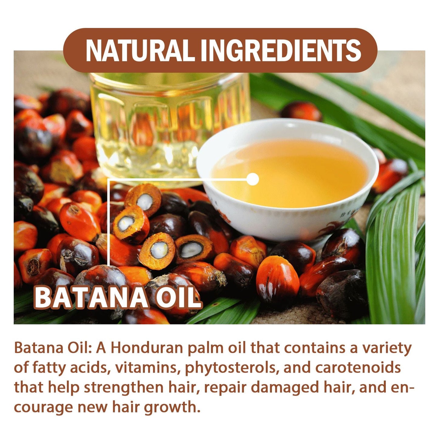 Acondicionador con Aceite de Batana EELHOE Hidrata, Repara, Fortalece las Raíces del Cabello, Previene el Cabello Escaso, Deja el Cabello Denso, Y Sólido y Esponjoso