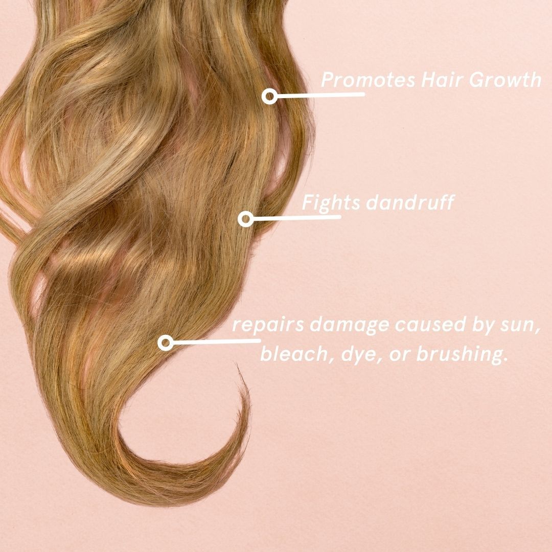 Champú Silk'e Repair Therapy 25oz