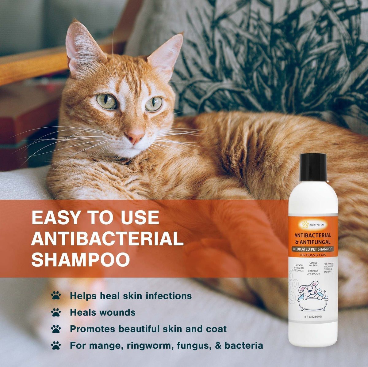 Champú de azufre de cal para mascotas - Solución veterinaria y para el cuidado de mascotas para la piel con picazón y seca - Seguro para perros; gatos; cachorros; gatitos; caballos