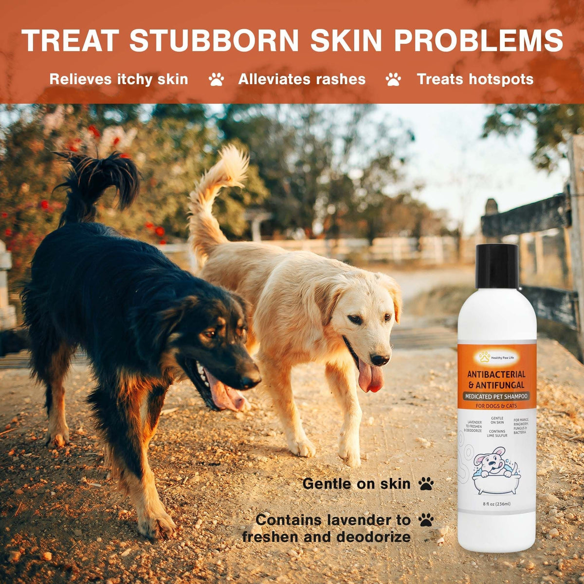 Champú de azufre de cal para mascotas - Solución veterinaria y para el cuidado de mascotas para la piel con picazón y seca - Seguro para perros; gatos; cachorros; gatitos; caballos