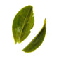 Rare Leaves Emerald - Té Verde Pi Lo Chun de Finca Única
