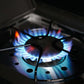 Eminence 425 | Iconic Fortified Propane Gas Grill