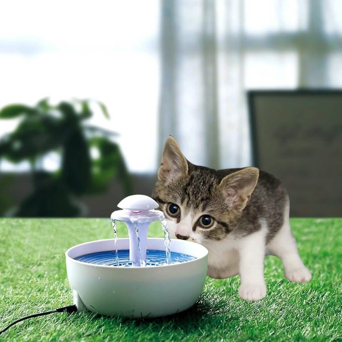 Fuente de agua automática Ez Pet para mascotas