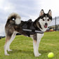 Arnés Suave Ajustable con Collar para Mascotas Ez-Pet