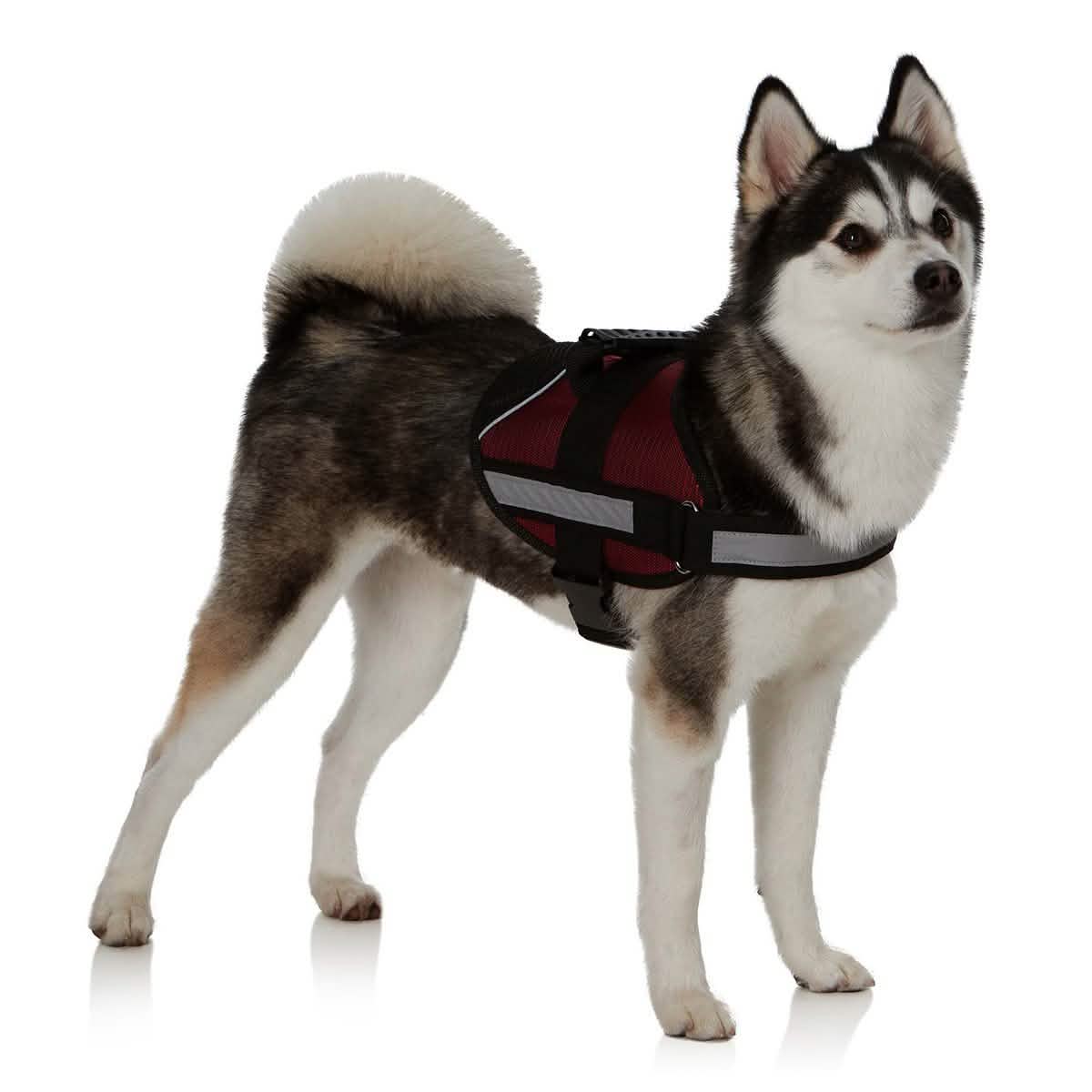 Arnés Suave Ajustable con Collar para Mascotas Ez-Pet