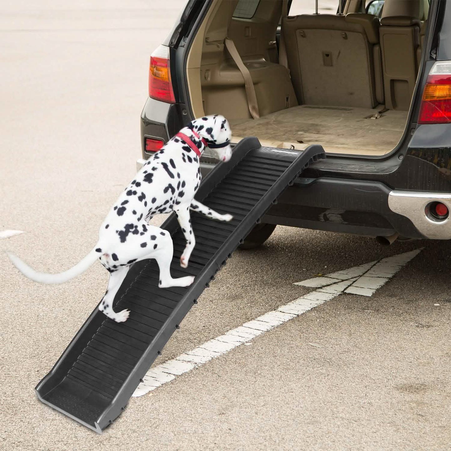 Rampa plegable para mascotas, escalera antideslizante