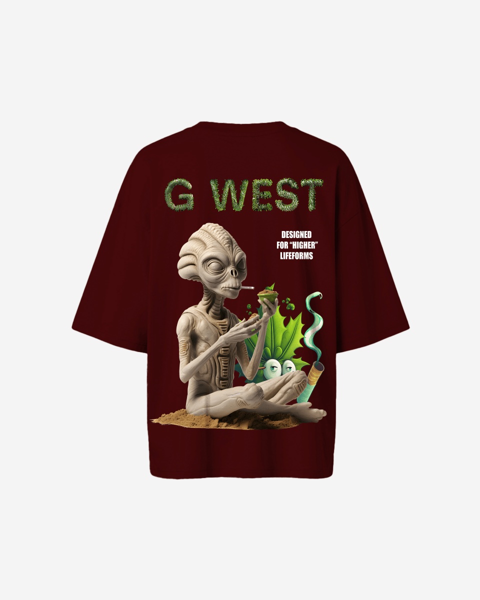 G West Womens Oversized Designed For Higher Lifeforms Tee