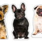 LiLiPi Dog-Shaped Accent Pillow - Assorted Styles