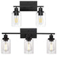 Light Wall Scone Lighting with Clear Glass