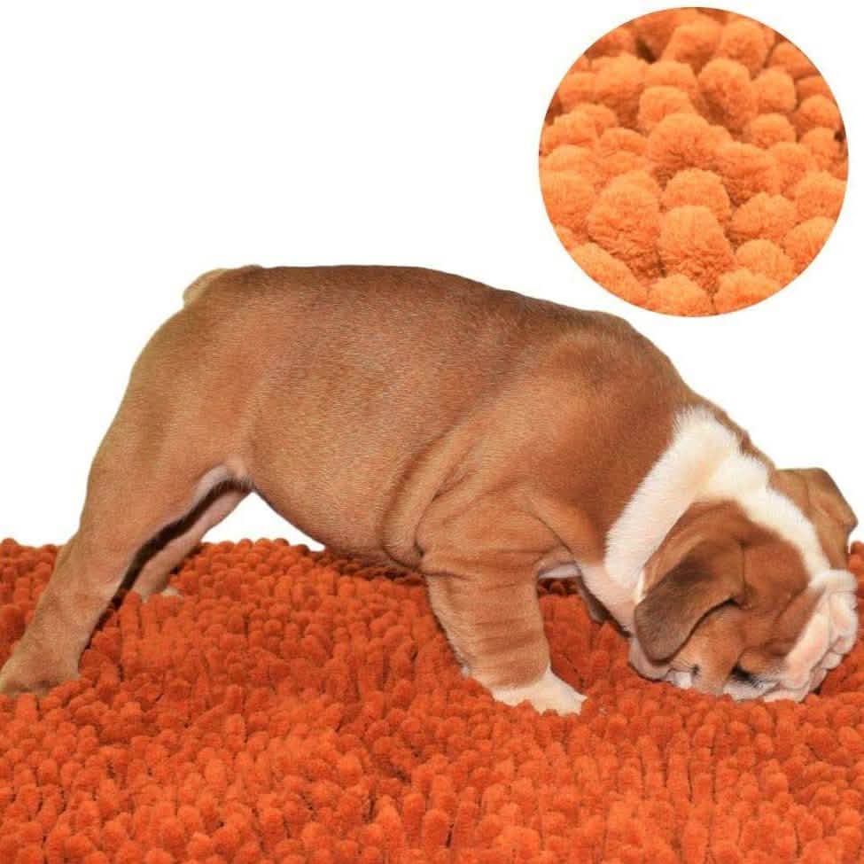 Nuestra alfombra olfativa "Adiestramiento Canino Fácil"