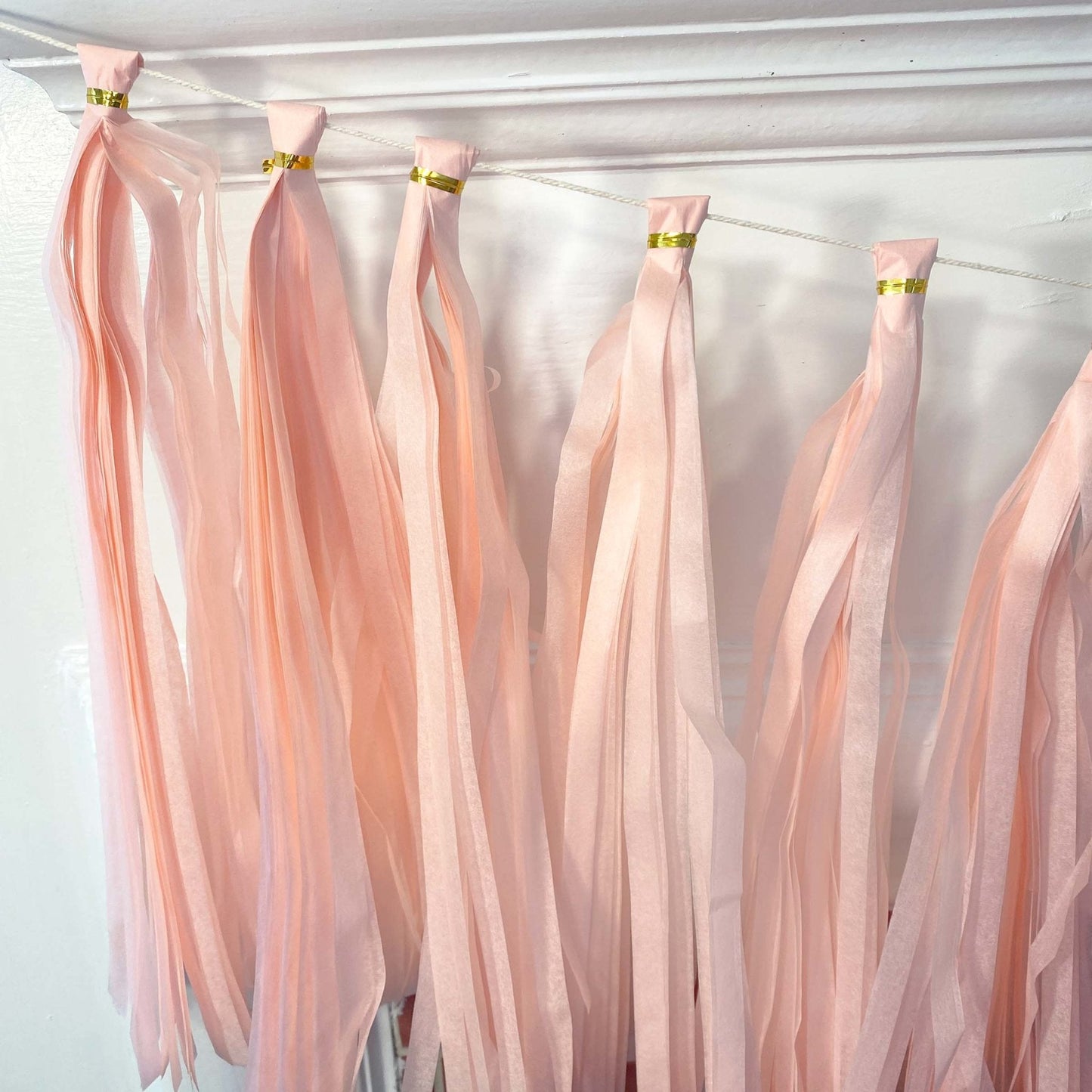 DIY Pink Tassel Tail Kit | Paper Fringe Garland & Balloon Decor