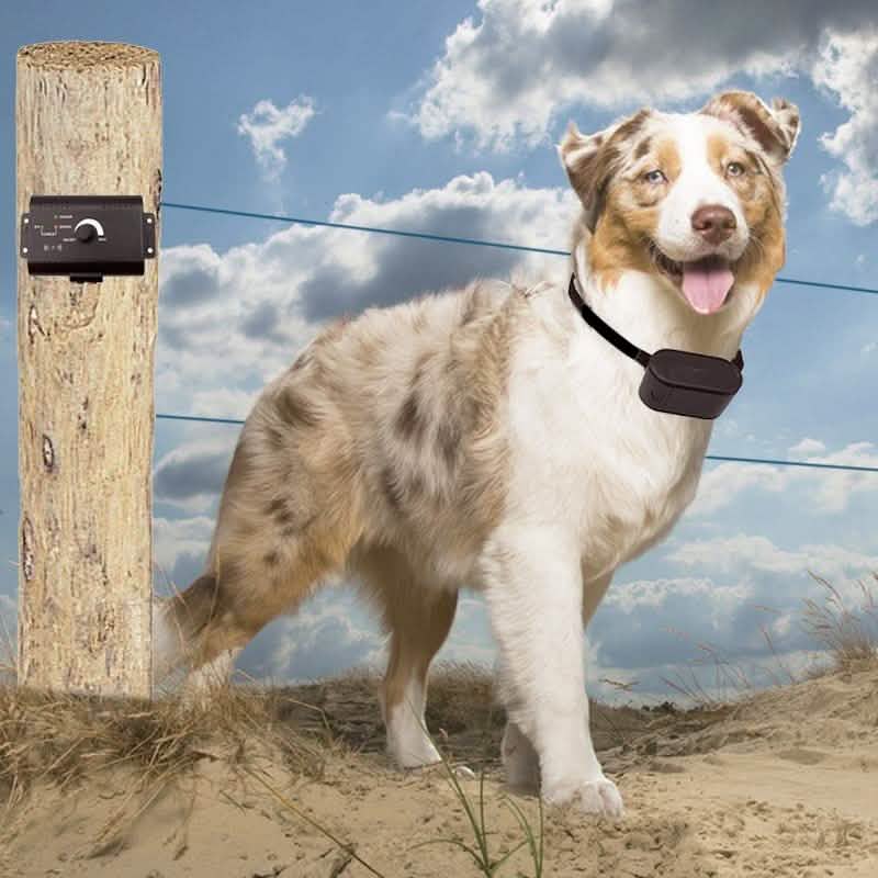 Sistema de valla subterránea eléctrica PetZoom para perros