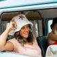 Peter Grimm Grateful Dead Pink Bear Bucket - Bucket Hat
