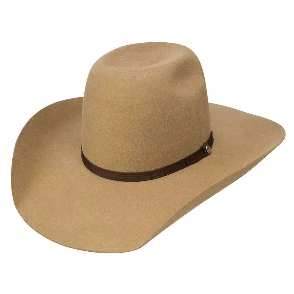 Resistol HOOey Day Money - Sombrero vaquero de fieltro de lana (4X)