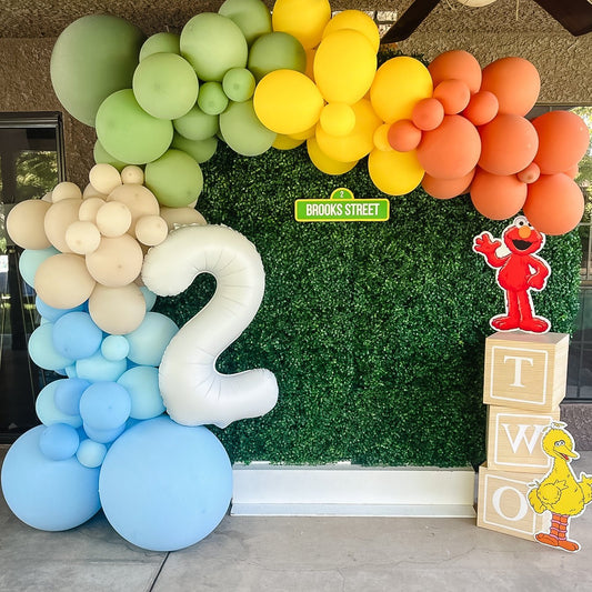 Kit de guirnalda de globos Neutral Rainbow Sesame Street