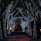 Solar-Powered 100 LED Fairy Light String - Assorted Colors