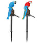 Solar Powered Parrot Garden Light IP65 Waterproof LED