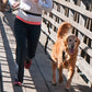 The Buddy System Adjustable Hands Free Dog Leash