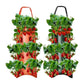 Upside Down Tomato Grow Bag