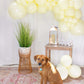 Yellow Balloon Garland
